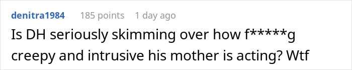 Screenshot of a Reddit comment discussing the mom disabling MIL&rsquo;s baby cam access due to intrusive spying concerns.