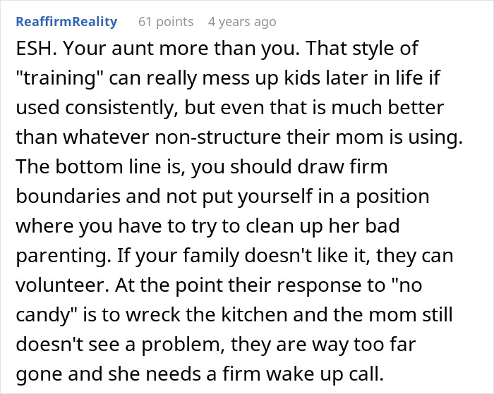 Comment discussing woman’s promise to train cousin’s kids after being forced to babysit and family boundaries advice. Comment discussing woman’s promise to train cousin’s kids after being forced to babysit and family boundaries advice.