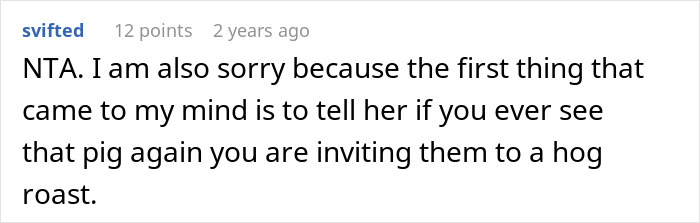 Reddit comment discussing a pet pig disrupting a wedding and the mother&rsquo;s embarrassment in front of guests.