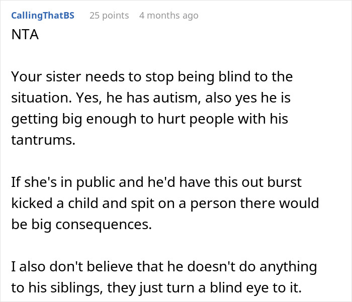 Text post discussing a woman refusing to babysit her autistic nephew after he injures her daughter and spits on her.