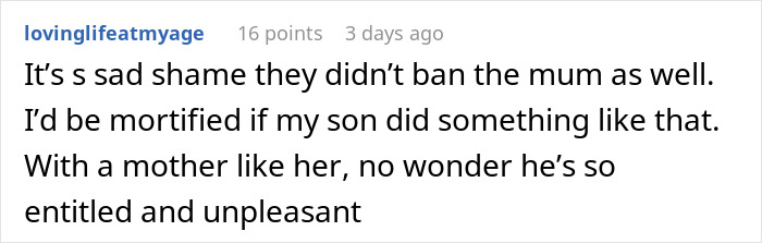 Screenshot of a Reddit comment discussing a mother accusing a lady of manhandling her son over a phone incident.