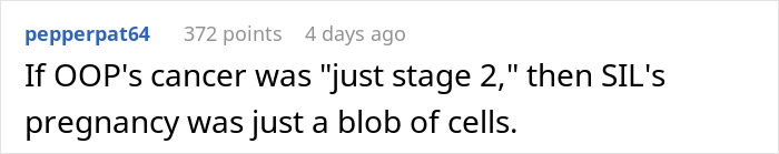 Text excerpt showing a comment discussing a woman needing support from family after devastating news, with drama from sister-in-law feeling outshined.