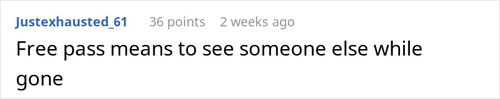Screenshot of a text comment explaining the phrase free pass means to see someone else while gone in an online discussion.