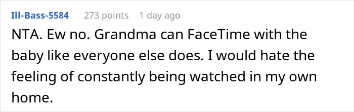 Screenshot of an online comment discussing a mom disabling MIL&rsquo;s baby cam access due to privacy concerns.