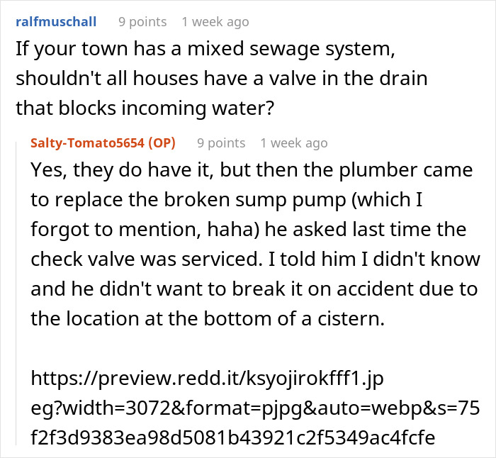 Reddit user discussing sewage system valve and sump pump repair related to mixed sewage disaster at home.