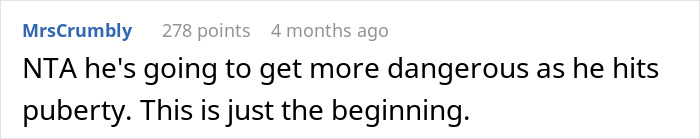 Screenshot of an online comment discussing concerns about a woman refusing to babysit her autistic nephew after he injures her daughter.