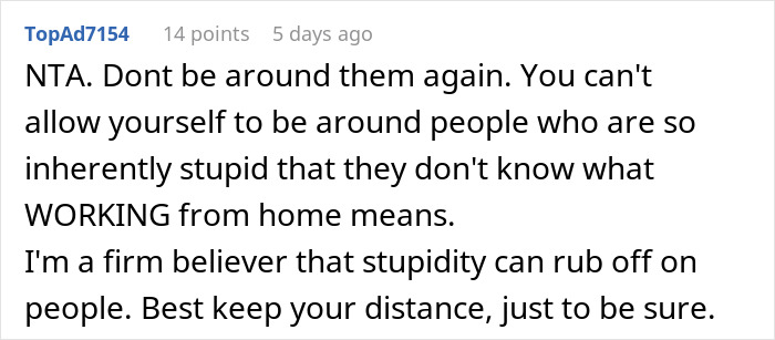 Comment criticizing in-laws for misunderstanding working mom’s challenges with once-a-week daycare and remote work. - 48