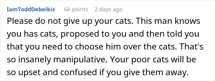 Fianc&eacute;e Left Shocked After Guy Demands Her 4 Senior Cats Be Rehomed Before Wedding