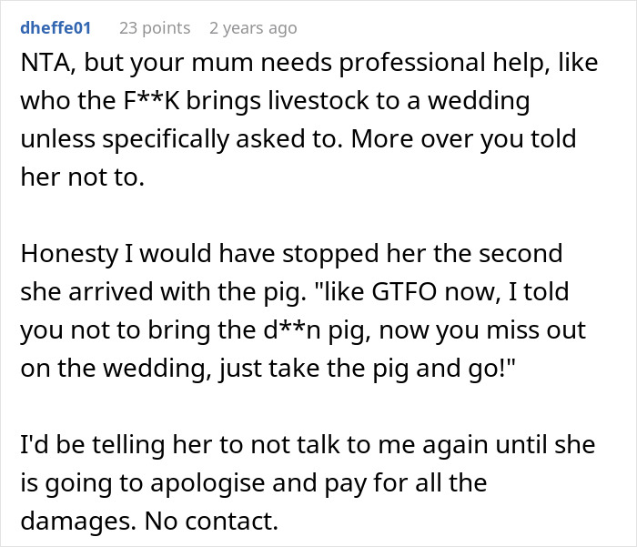 Comment discussing a mother humiliating herself at a wedding by bringing a pet pig that disrupts the event and causes damage.
