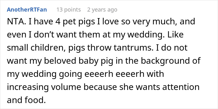 Comment discussing pet pigs and their disruptive behavior at weddings, highlighting challenges with pigs at events.