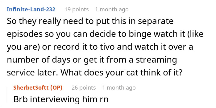 Text conversation discussing the need for separate episodes to binge watch or record, with humor about interviewing a cat.