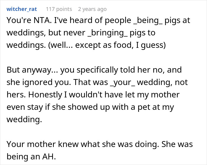 Reddit comment discussing a mother humiliating herself by bringing her pet pig to her daughter's wedding.