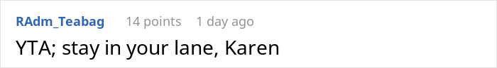 Screenshot of a Reddit comment reading "YTA; stay in your lane, Karen" in a discussion about a workplace gluten-free pizza party conflict. Screenshot of a Reddit comment reading "YTA; stay in your lane, Karen" in a discussion about a workplace gluten-free pizza party conflict.