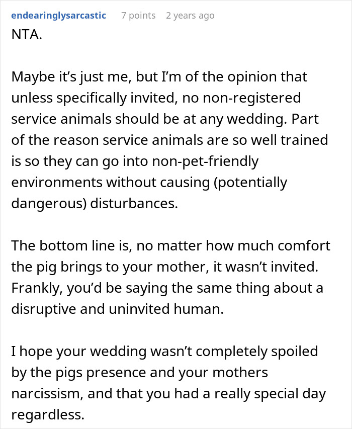 Comment discussing the disruption caused by a pet pig at a wedding and opinions on uninvited service animals.