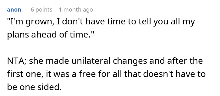 Text post showing a Reddit comment about a sister hijacking a road trip and expecting babysitting without prior notice. Text post showing a Reddit comment about a sister hijacking a road trip and expecting babysitting without prior notice.