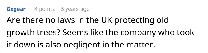 Comment questioning UK laws protecting old growth trees after a company negligently cut down neighbor’s trees. Comment questioning UK laws protecting old growth trees after a company negligently cut down neighbor’s trees.