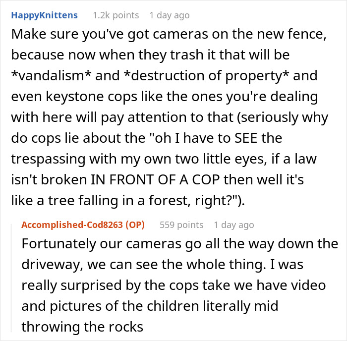 Reddit users discuss neighbors fighting over driveway and woman using cameras to document property vandalism.