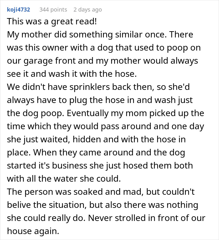 Comment describing petty revenge on an entitled dog owner involving hosing down dog poop to prevent repeated messes.