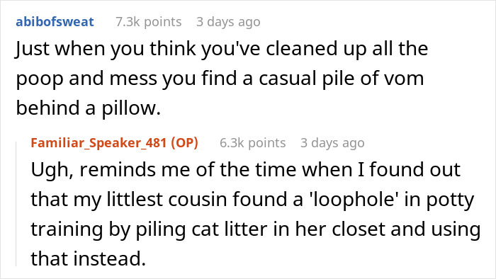 Screenshot of a Reddit conversation about the realities of toddler messes and potty training challenges.