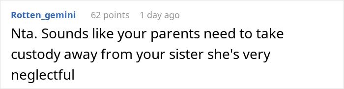 Screenshot of an online forum comment discussing custody concerns due to a sister's neglectful parenting.