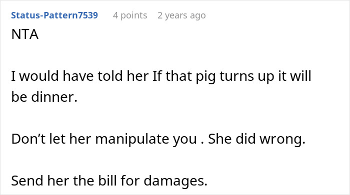 Comment advising to confront mother about her pet pig causing damage at wedding and sending her the bill.