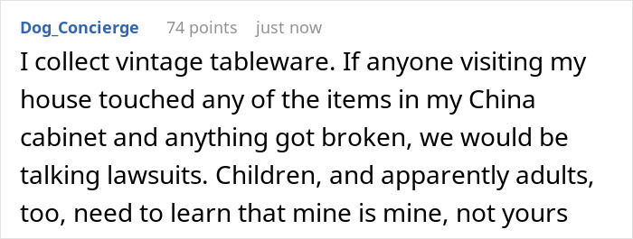 Screenshot of a Reddit comment about collecting vintage tableware and protecting fragile items from guests. - 28