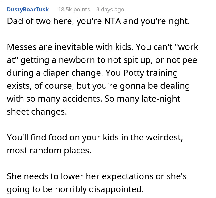 Comment explaining that messes are inevitable with toddlers, reinforcing the idea that there's no such thing as a clean toddler.