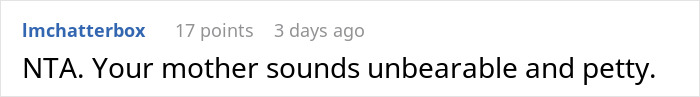 Screenshot of a social media comment stating someone&rsquo;s mother sounds unbearable and petty in a family gift trip dispute.