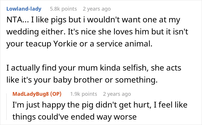 Reddit conversation about a pet pig causing disruption and humiliation at a wedding event.
