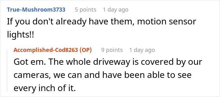 Conversation about neighbors fighting over driveway and woman using cameras to monitor her property.