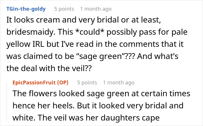 Comments discussing groom's brother's girlfriend wearing a sage green dress that looked like a white wedding dress.