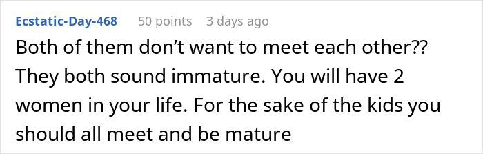 Screenshot of an online comment discussing a couple’s conflict about mowing an ex’s lawn and relationship maturity. Screenshot of an online comment discussing a couple’s conflict about mowing an ex’s lawn and relationship maturity.