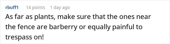 Comment about plants near fence suggesting barberry or painful plants to prevent trespassing in a discussion thread.