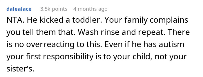 Reddit comment explaining refusal to babysit autistic nephew after he injures daughter and spits on her.