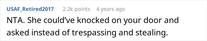 Screenshot of a Reddit comment discussing a thief caught stealing vegetables who claims to know the owner.