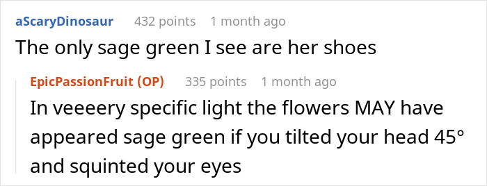 Reddit users debate whether the groom's brother's girlfriend's dress is sage green or white at a wedding.