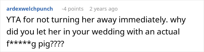Comment criticizing a mother for bringing her pet pig to a wedding, causing disruption among guests.