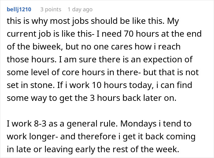 User comment discussing flexible hours and work schedule, highlighting benefits of flexible work policies in jobs. User comment discussing flexible hours and work schedule, highlighting benefits of flexible work policies in jobs.
