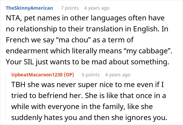 Screenshot of a Reddit discussion about nicknames and pet names, highlighting a woman shocked by brother’s wife’s cruel nicknames. Screenshot of a Reddit discussion about nicknames and pet names, highlighting a woman shocked by brother’s wife’s cruel nicknames.