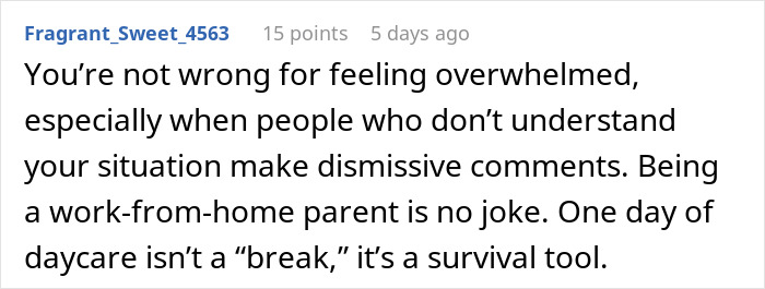 Comment from a working mom explaining why once-a-week daycare is a vital survival tool, not an easy break. - 47
