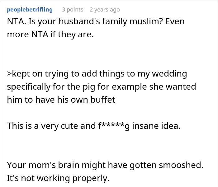 Screenshot of a Reddit comment discussing the pet pig causing issues at a daughter&rsquo;s wedding celebration.