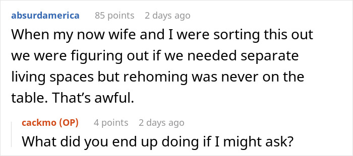 Fianc&eacute;e Left Shocked After Guy Demands Her 4 Senior Cats Be Rehomed Before Wedding