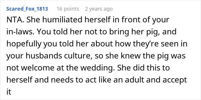 Screenshot of a comment discussing a mother humiliated in front of wedding guests when her pet pig ruins the wedding.