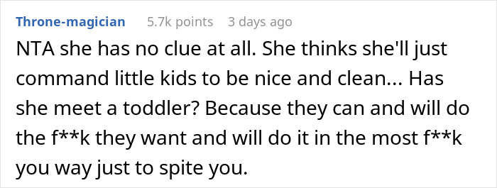 Screenshot of an online comment discussing the reality that there is no such thing as a clean toddler and behavior challenges.