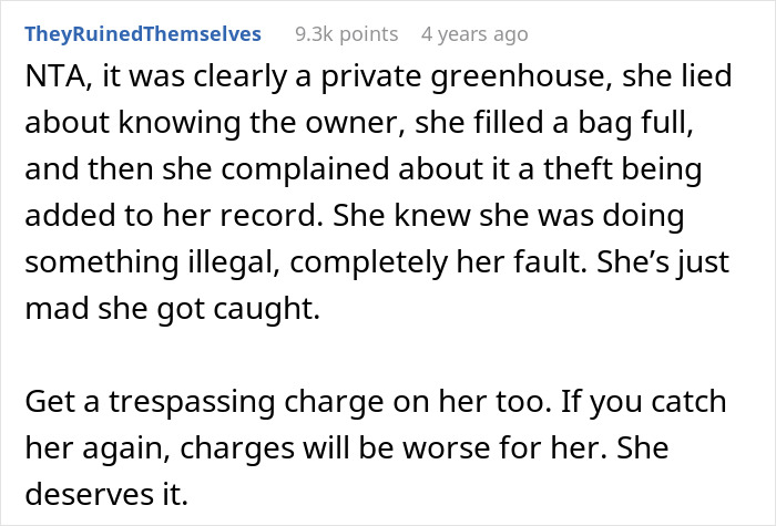 Comment describing a thief stealing vegetables and lying about knowing the owner of the private greenhouse.