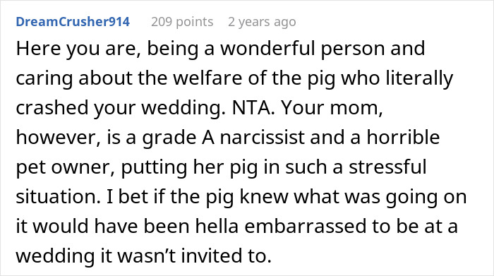 Comment discussing concern for pet pig causing chaos at wedding, mentioning mother&rsquo;s behavior and wedding disruption.
