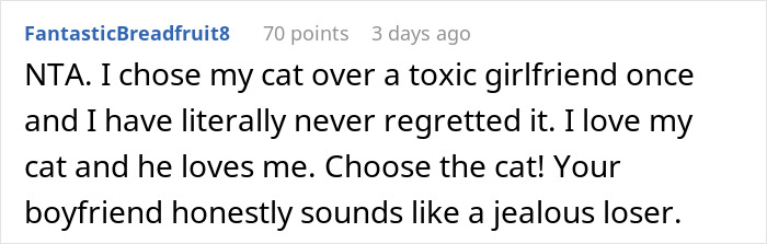 Comment about choosing cat over toxic girlfriend, highlighting boyfriend fussing over cat gift causing relationship issues. Comment about choosing cat over toxic girlfriend, highlighting boyfriend fussing over cat gift causing relationship issues.