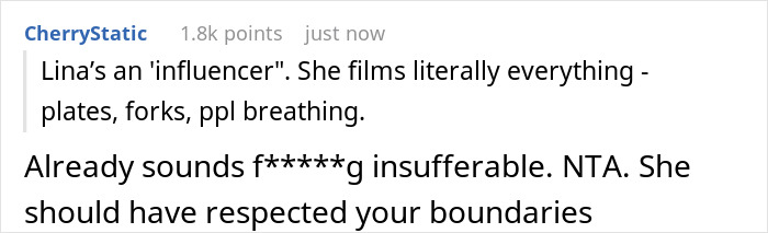 Screenshot of an online comment discussing a self-proclaimed influencer filming everything and being insufferable at a birthday dinner.