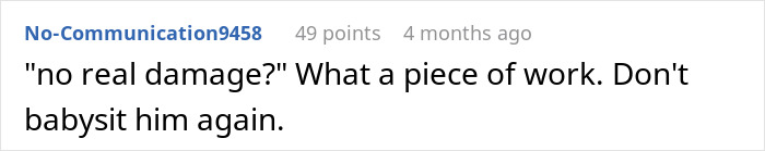 Screenshot of an online comment discussing a woman refusing to babysit her autistic nephew after he injures her daughter.