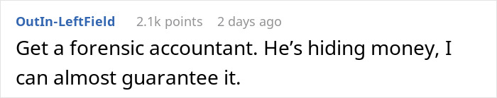 Comment text in black font on a white background, discussing suspicion about hidden money and forensic accountants.
